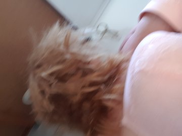 Pascalle uit Gelderland,Nederland